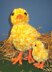 Big Chick Little Chick Easter knitting pattern