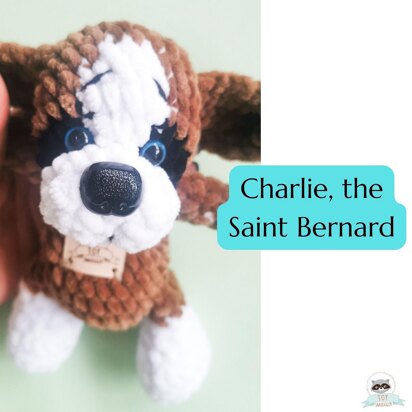 Charlie, the Saint Bernard