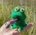 Frog with Fly from the book Who wants Happy Hops's Toothbrush?
