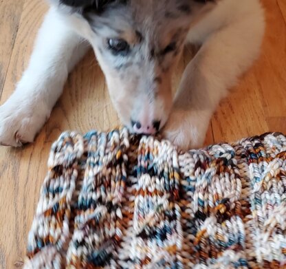 Baileys and Coffee Cowl