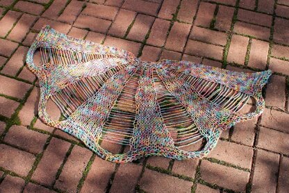 Crazybird Shawl