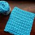 Pankh dishcloth