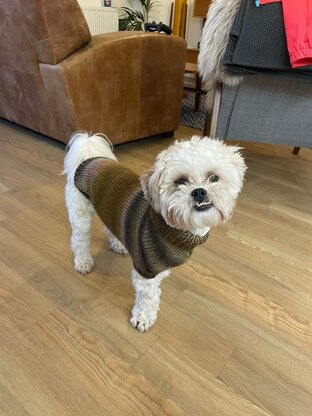 Dog Coat (small)