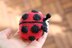 Marie the Ladybug