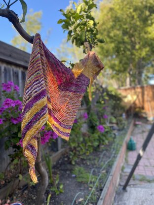 Rad Honey Shawl