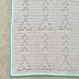 Into The Wild Blanket
