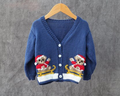 P163 Teddy on a Sleigh Cardigans