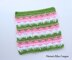 Watermelon Dishcloths