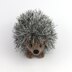 Curious hedgehog