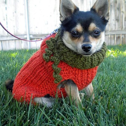 Lil Pumpkin Dog Sweater