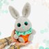 Rabbit Carrotie