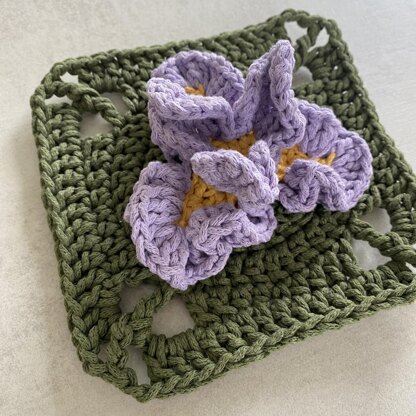Iris Granny Square