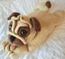 Percival The Pug Pyjama/Hot Water Bottle Case