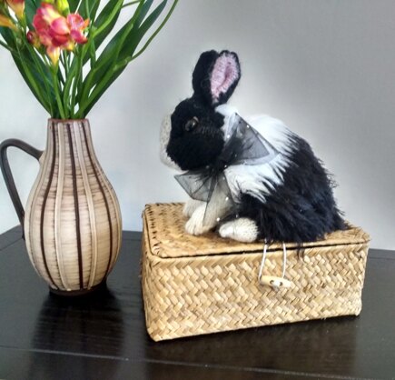 Dutch Rabbit #7
