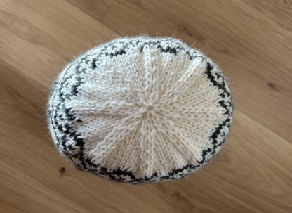 Family Shamrock Hats