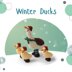 Winter Ducks