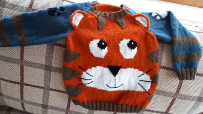 Tiger Paws Jumper