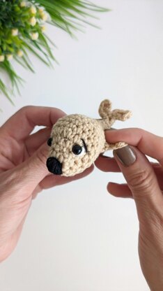 Crochet seal pattern, NO SEW crochet plush pattern, amigurumi sea animal