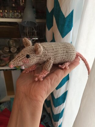 Raymond the Rat