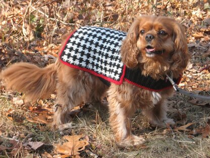 The Hound of the Baskervilles Dog Coat