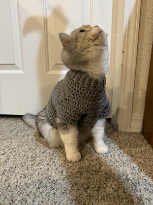 Diamonds pet sweater