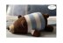 Sleepy Bear