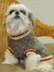 Sock Monkey Dog Sweater