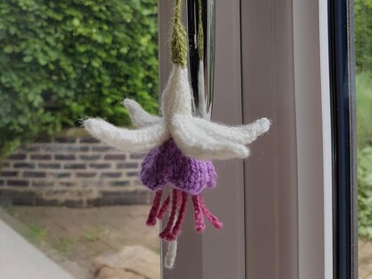 Knitted Fuchsia