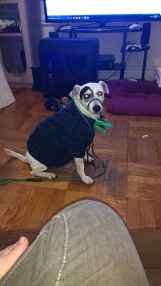 toby sweater