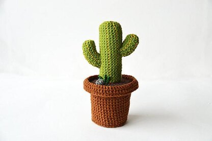 Desert Cactus Amigurumi Crochet Pattern