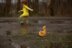 Mallard and Yellow Duck