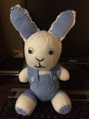 Cuddly Bunny with Non Detachable Outfit
