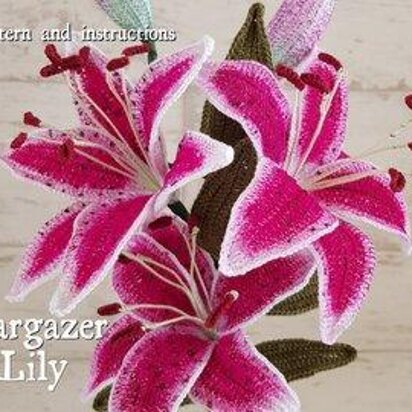 Stargazer Lily