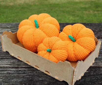 Snuggly Pumpkins