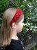 Falling Leaves Headband