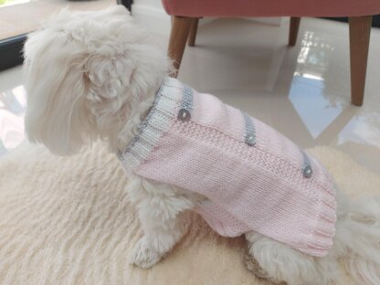 Pink stripe dog coat