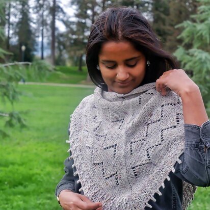 Meera Shawl