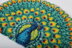 Craft Buddy Peakcock Rug Latch Hook Kit