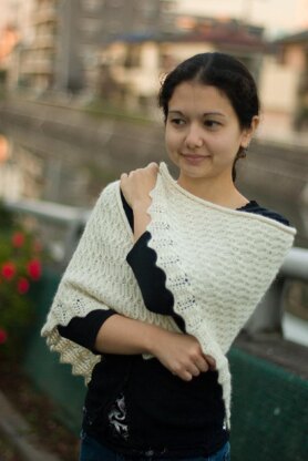 Notre Dame de Paris Shawl