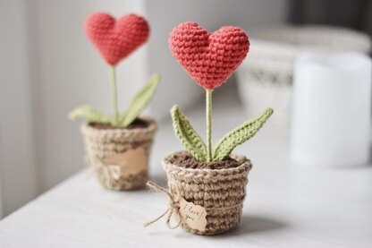 Valentine’s Day Heart Plant