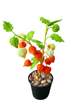 Crochet Japanese Lantern flowers