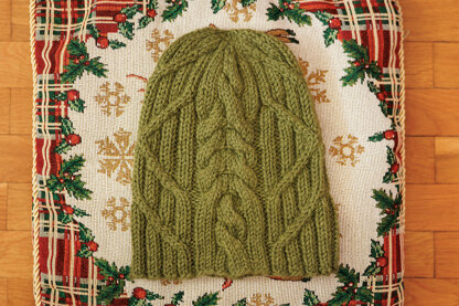 Men's cabled hat