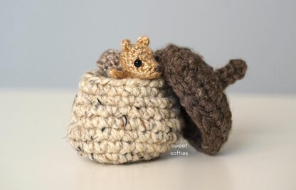 Baby Squirrel in Acorn