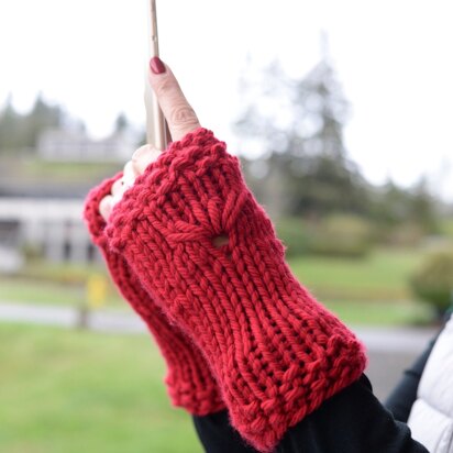 Adventure Du Jour Designs Oopsie Daisy Mitts PDF