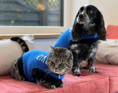 Designer Dog Coat and Cat Coat