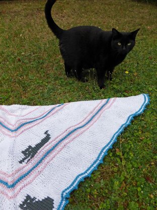 Cat Shawl