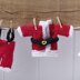 Little Laundry Christmas Bunting