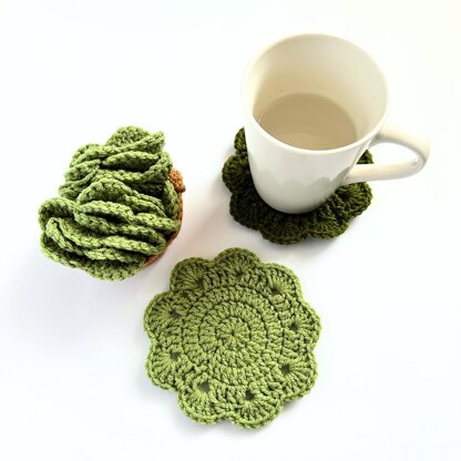 Succulent Plant Coasters