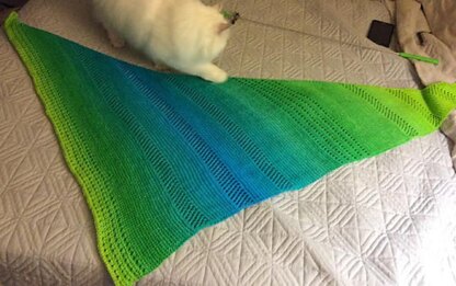 Palate Cleanser Shawl
