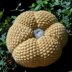 Seed Stitch Pumpkin